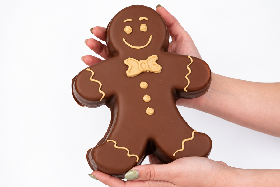 Worlds Biggest Gingy